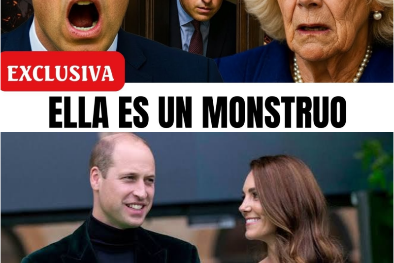 El príncipe William acaba de DESCUBRIR la habitación SECRETA de Camilla… ¡Y lo que encontró dentro
