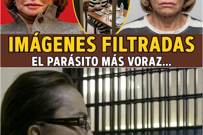 Elba Esther Gordillo: La ‘Maestra’… El ASQUEROSO Privilegio de su Prisión de Lujo.