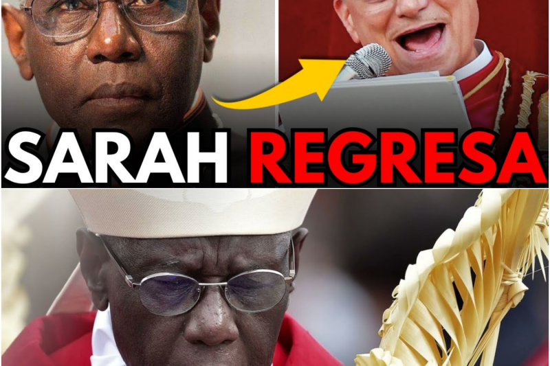 El As bajo la Manga de León XIV: El Regreso del Cardenal Sarah y la Batalla por el Alma de la Iglesia