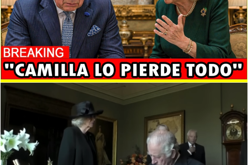 El milagro legal de Diana: El fideicomiso secreto que frena el poder de Camilla y estremece a Carlos III