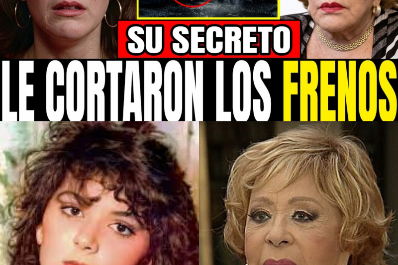La asquerosa traición a Viridiana Alatriste: El asesinato encubierto de la hija de Silvia Pinal