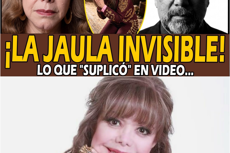 Yolanda del Río: 41 Años de MENTIRAS… La Pesadilla en su Casa por un Vestido Blanco