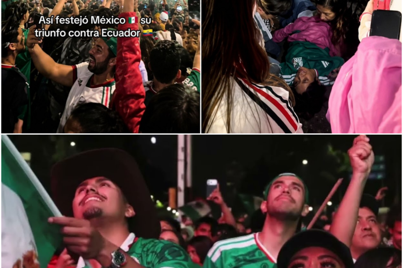 El triunfo de la selección nacional podría ser el detonante de una tragedia sin precedentes que nadie quiere aceptar. Las autoridades están aterradas ante lo que los expertos denominan un contagio emocional masivo, un monstruo que transforma a los aficionados comunes en una multitud descontrolada y letal. El saldo hasta ahora es devastador, con vidas perdidas, asfixia y violencia extrema en las calles. Ganar o perder, el desenlace apunta a un desastre urbano inminente que las autoridades no pueden frenar. Entérate de los perturbadores detalles y cómo esta situación se salió de control. Tienes toda la información en el enlace que dejamos en los comentarios.
