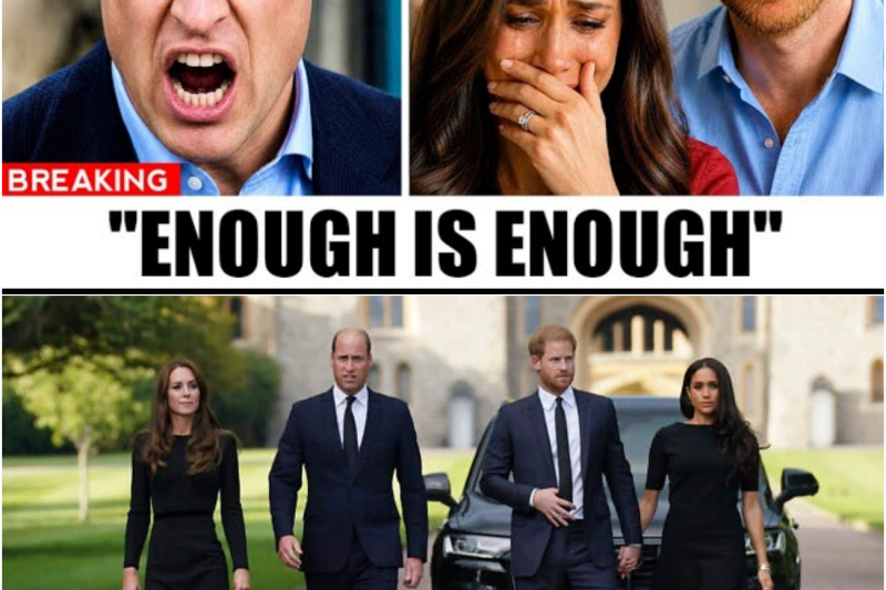 El veto implacable del príncipe Guillermo: La guerra silenciosa que bloquea el regreso de Harry y Meghan a las residencias reales de la Corona británica