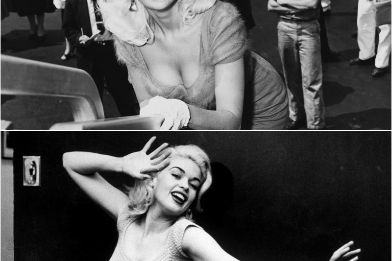 Jayne Mansfield: Todos Creían Conocerla… Hasta Aquella Última Noche