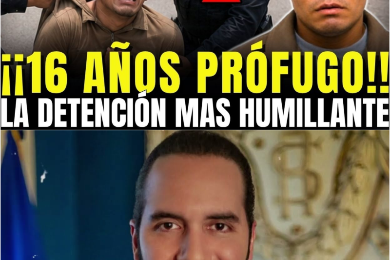 ASI CAYO “KLAUSITO” : MATÓ A SU MADRE POR HERENCIA Y CULPÓ A SU PRIMO