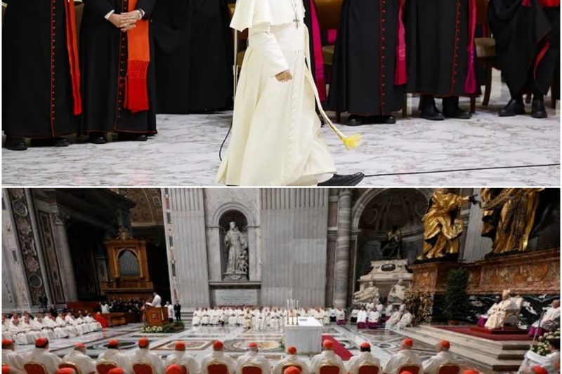 Los Cardenales Vuelven al Vaticano y León XIV Ya Tiene un Plan