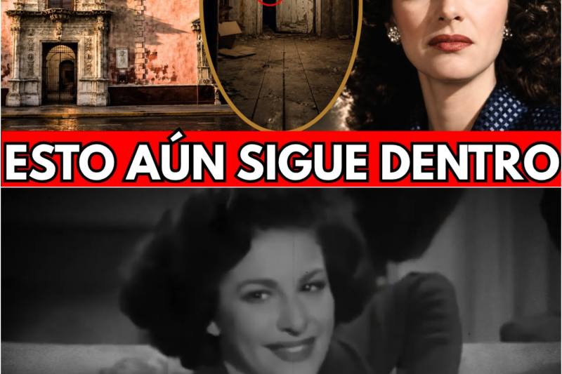 El Secreto Que Carmen Montejo Escondió Durante 50 Años… Nadie Se Atrevió a Abrir Esa Puerta