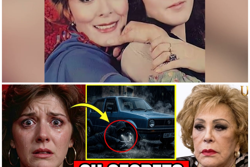 Viridiana Alatriste: La ASQUEROSA Traición… No Fue Accidente, Fue un Plan Elaborado