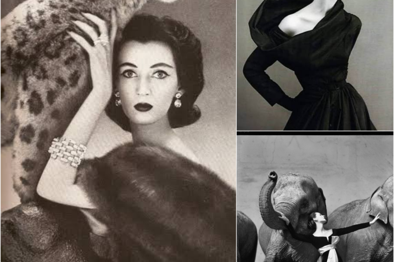 La modelo favorita de Dior que acabó en la ruina: la verdadera historia de Dovima