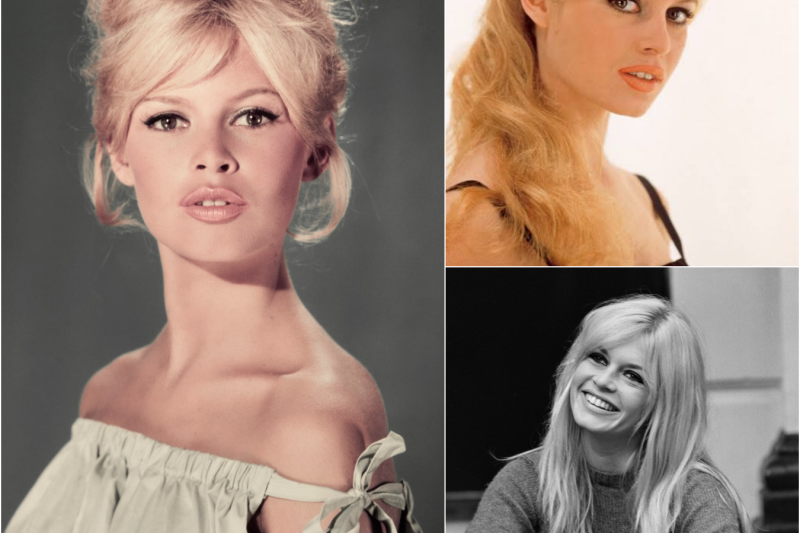 Brigitte Bardot y su único hijo: una historia de dolor, fama y controversia