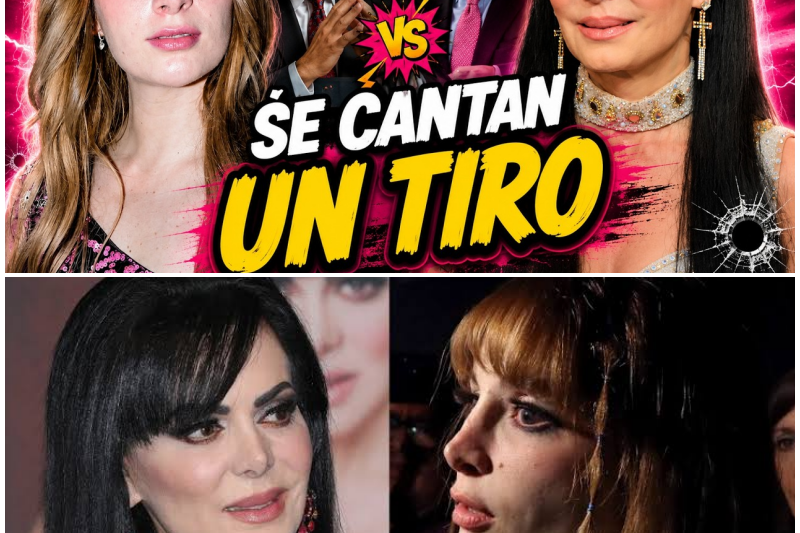 ¡Escándalo en los Juzgados! Abogados de Imelda Garza y Maribel Guardia a Punto de los Golpes en Plena Calle