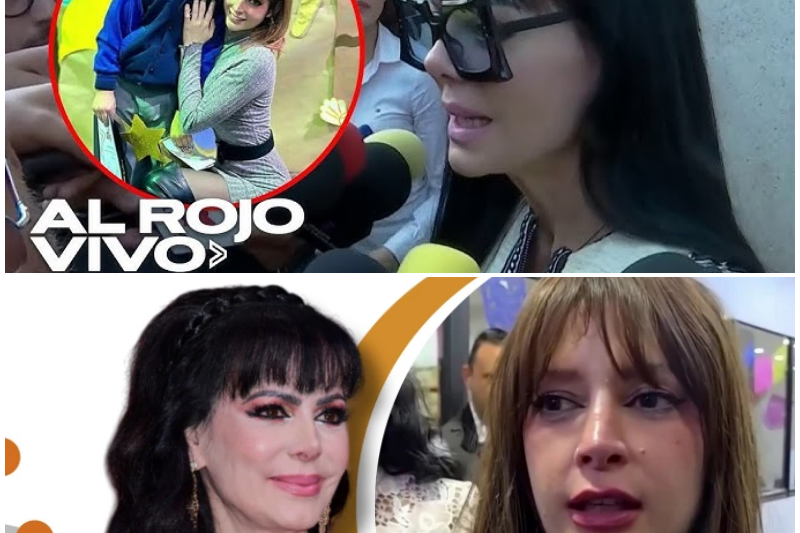 ¡Escándalo en los Juzgados! Abogados de Imelda Garza y Maribel Guardia a Punto de los Golpes en Plena Calle