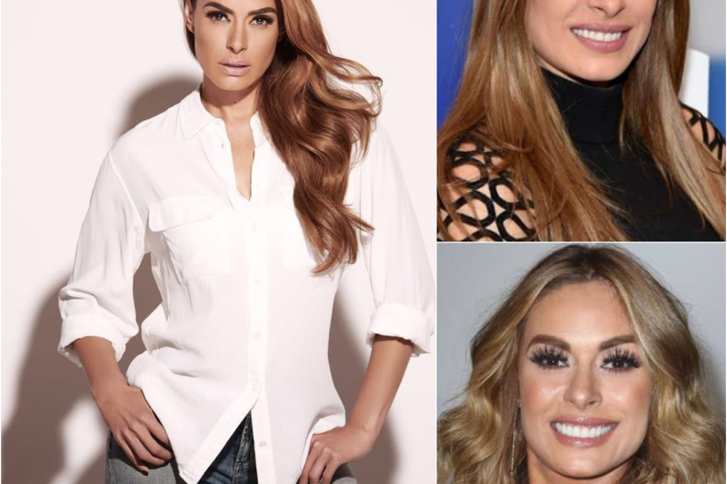 Galilea Montijo: La ‘Señora del Narco’… El ASQUEROSO Show de Lágrimas que la Delató.