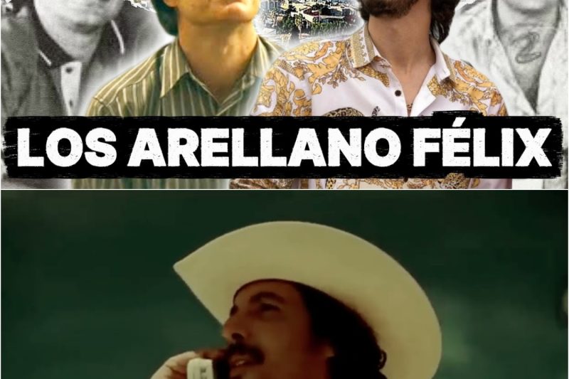 Los Arellano Félix: la Historia del Poderoso Cartel de Tijuana