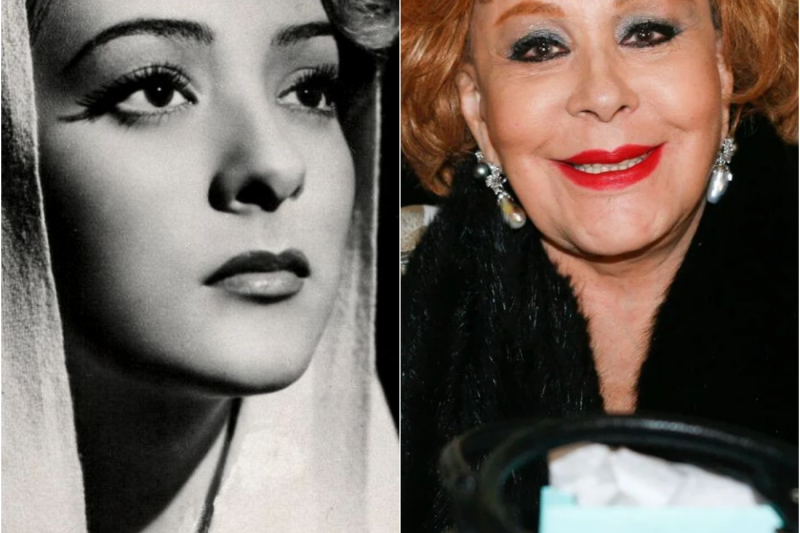 Silvia Pinal: El CRUEL Testamento… Borró a su Hija y Heredó TODO a un Extraño