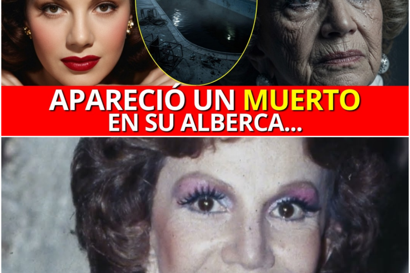ANA LUISA PELUFFO: Por ESTO un HOMBRE MURIÓ en su CASA y todo se TAPÓ