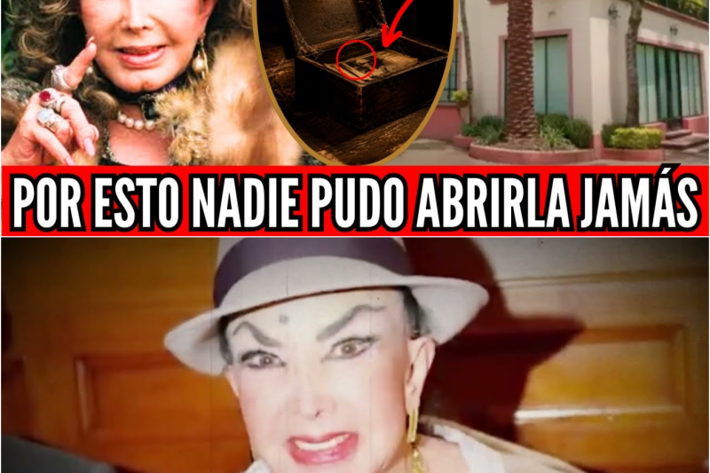 Este es el Oscuro Secreto que Ocultó IRMA SERRANO en Lomas de Chapultepec… nunca debiste saberlo