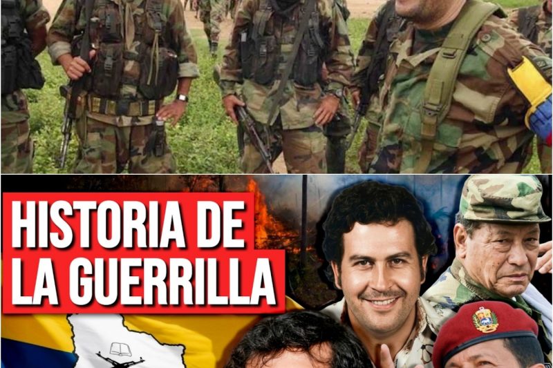 Las GUERRILLAS COLOMBIANAS: Historia de las FARC, ELN y M-19