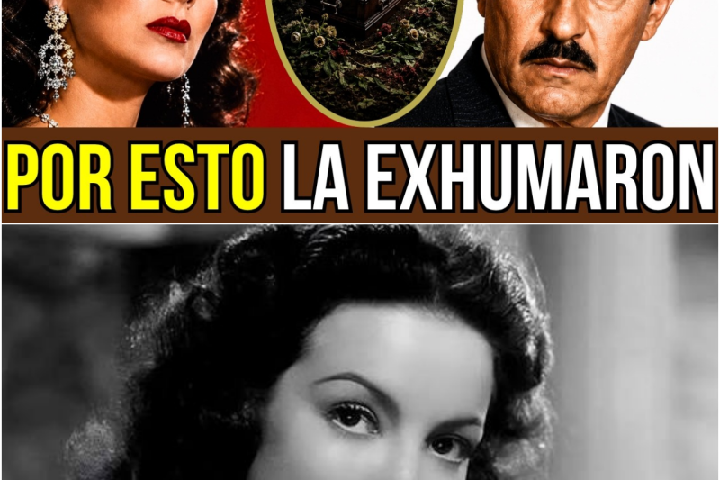 MARÍA FÉLIX: El Oscuro Motivo de la Exhumación de su Cadáver | Esto Intentaron Enterrar con Ella