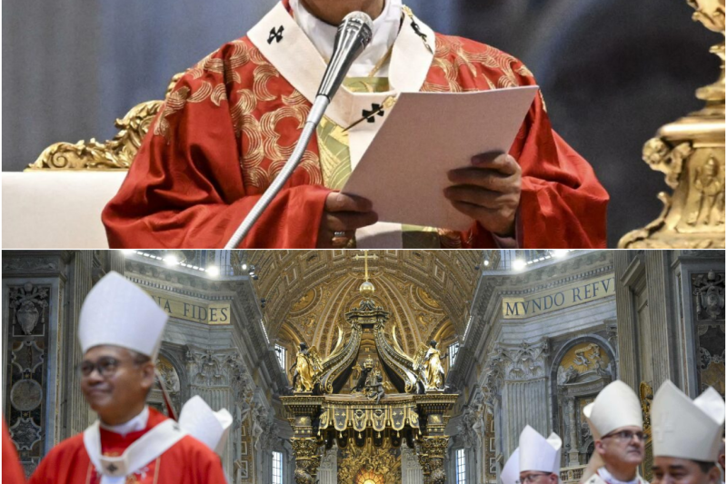 Terremoto en el Vaticano: El Papa León XIV destituye a la cúpula eclesiástica y expone décadas de corrupción en una histórica misa de San Pedro y San Pablo