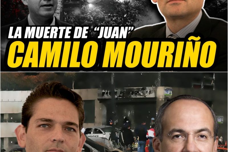 La Muerte de Juan Camilo Mouriño: Accidente aéreo, Negligencia o Algo Más