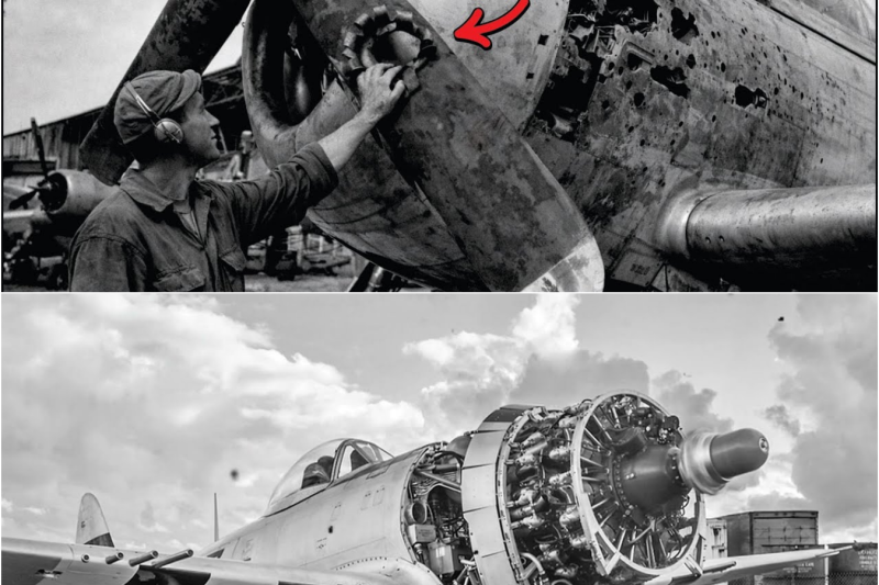El “truco absurdo” de un ingeniero con la hélice que convirtió al P-47 en un monstruo de 756 km/h