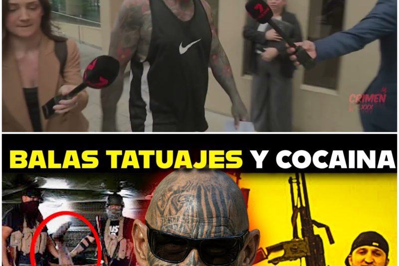 Dayne Brajkovich: El Ex Jefe Motero que Desafió a la Mafia