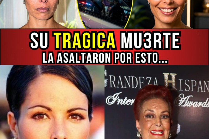 El Trágico Final de Mariana Levy: El Asalto que Detuvo el Corazón de una Madre para Siempre