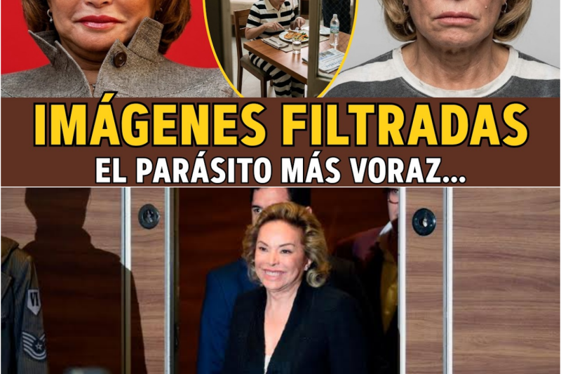 Elba Esther Gordillo: La ‘Maestra’… El ASQUEROSO Privilegio de su Prisión de Lujo.
